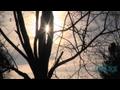 News video: Sunshine Forecast For Erie Region